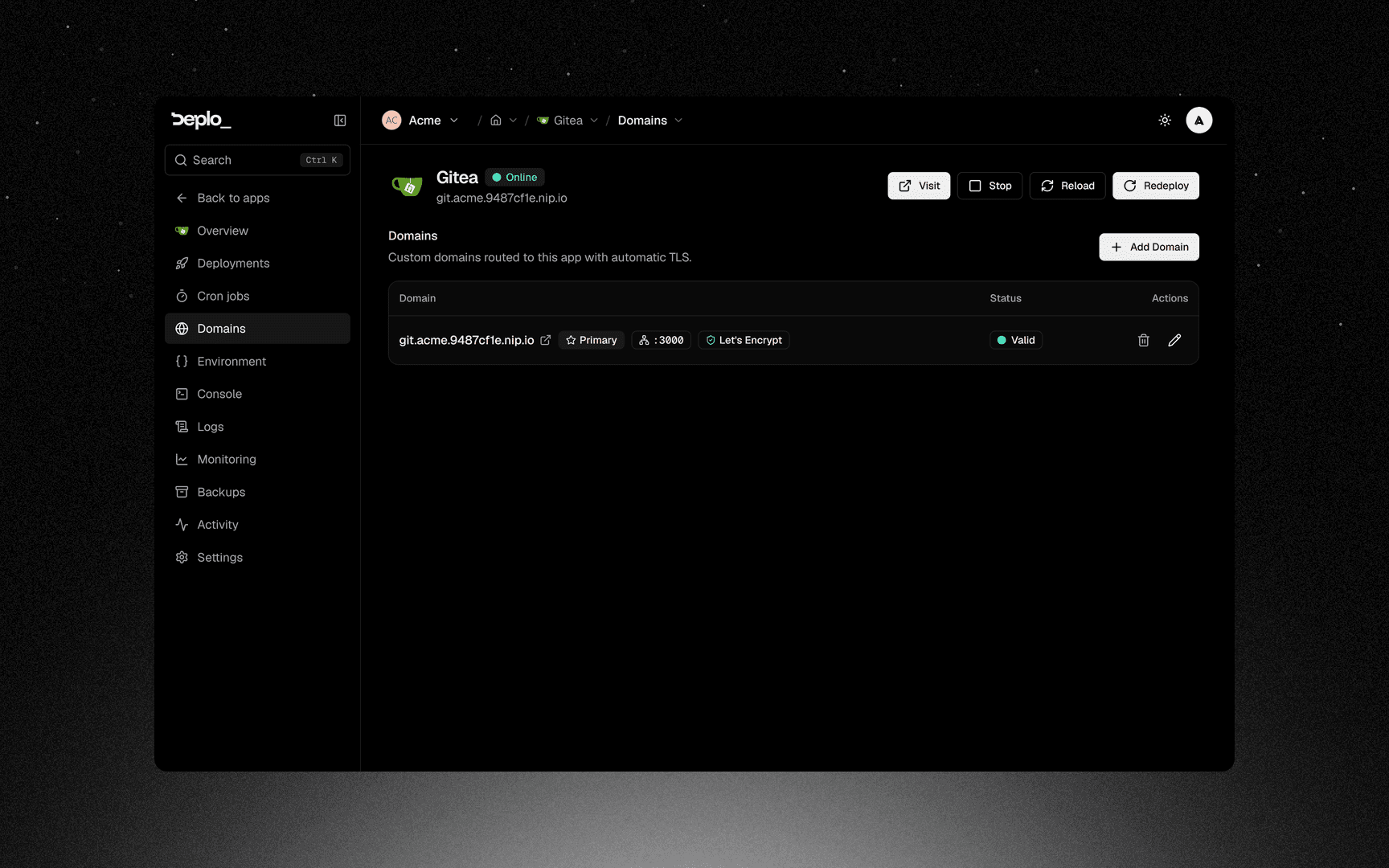 One app's Domains tab with its hostname, DNS state and certificate